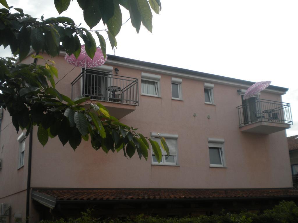 Apartments Miani Novigrad  Exterior photo