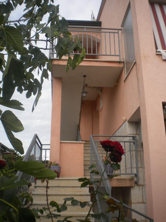 Apartments Miani Novigrad  Exterior photo